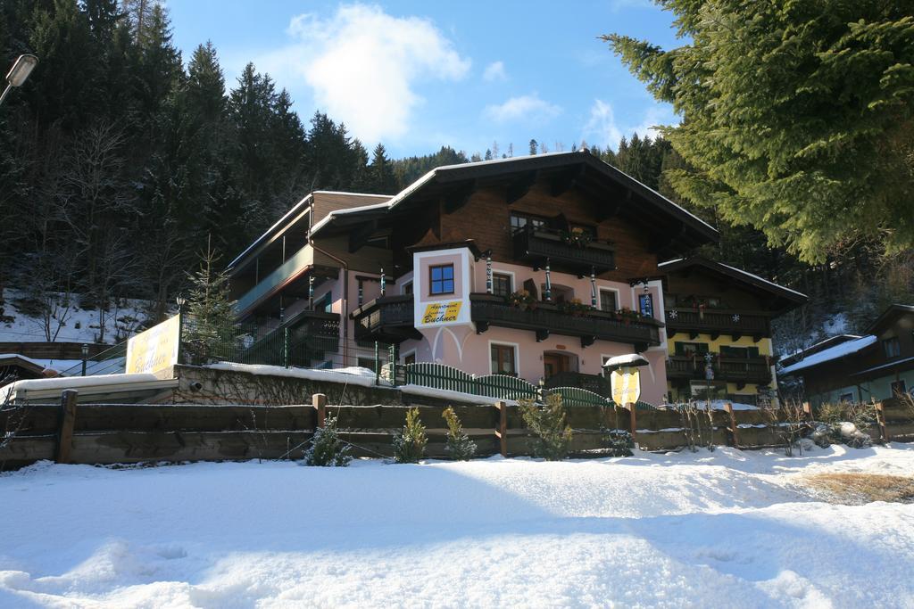 Apartment Landhaus Buchner Zell am See Exterior photo